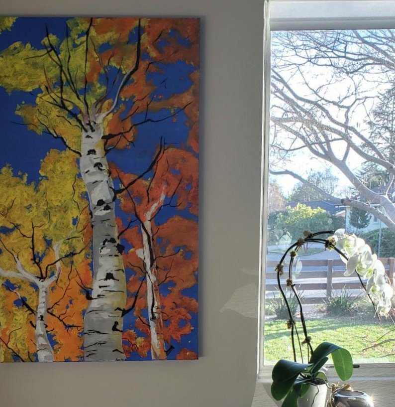 Autumn Birch
